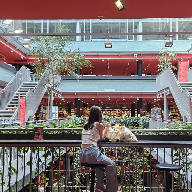 Autor članka - Luna Vukoja